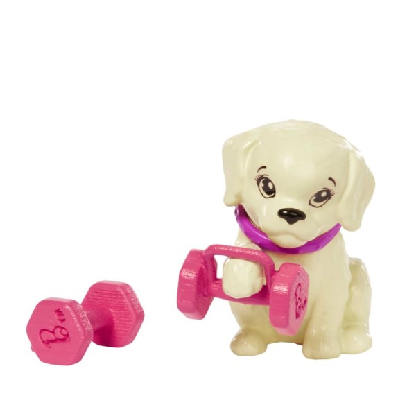Encontraproduto.com.br - Boneca - Barbie com Cachorrinho - Roupa de Treino Patins e Tenis - GKH73 MATTEL