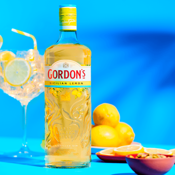 Encontraproduto.com.br - Combo Gin GordonS