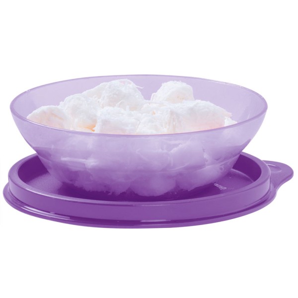 Encontraproduto.com.br - Tupper Pragela 450ml Lilás