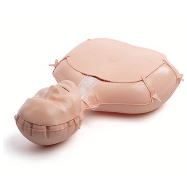 Encontraproduto.com.br - Manequim RCP Anytime - Laerdal