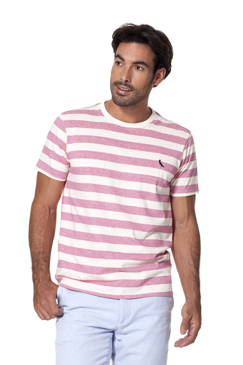 CAMISETA LISTRADO COLOR