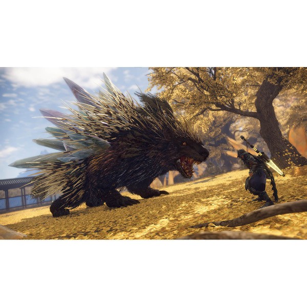 Encontraproduto.com.br - Wild Hearts - Xbox Series X - Mídia Física