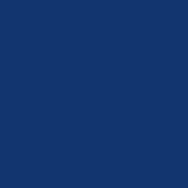 Encontraproduto.com.br - Tinta forte Amycrom 90ml - Azul Royal