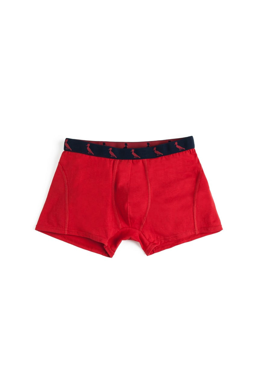 CUECA BOXER BASICO COLORIDO