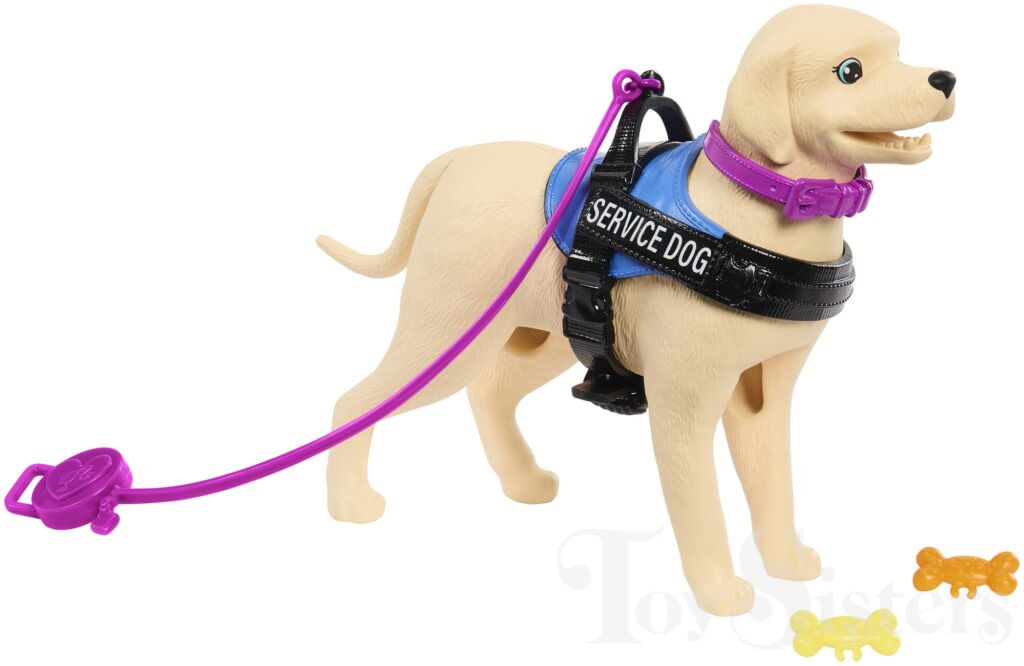 Encontraproduto.com.br - Boneca Barbie - Cadeira de Rodas com Cao de Servico MATTEL