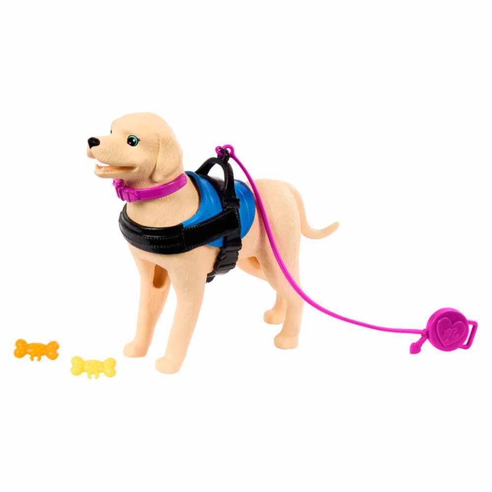 Encontraproduto.com.br - Boneca Barbie - Cadeira de Rodas com Cao de Servico MATTEL