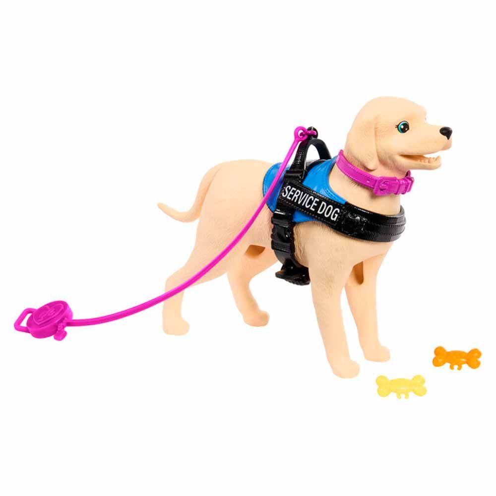 Encontraproduto.com.br - Boneca Barbie - Cadeira de Rodas com Cao de Servico MATTEL
