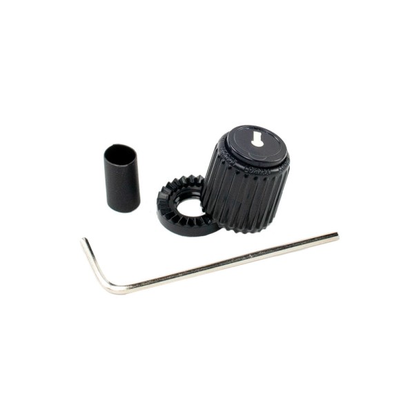 Encontraproduto.com.br - Knob De Plástico Para Instrumentos E Periféricos Pequeno Preto DAddario LokNob PW-LNS-01B