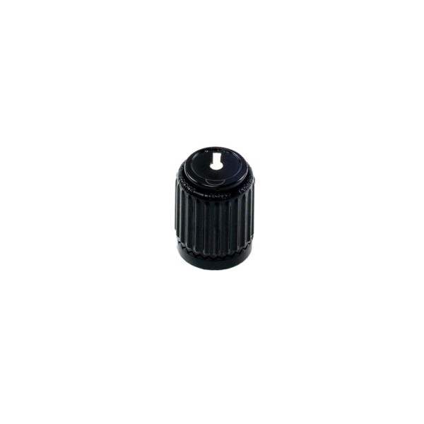 Encontraproduto.com.br - Knob De Plástico Para Instrumentos E Periféricos Pequeno Preto DAddario LokNob PW-LNS-01B