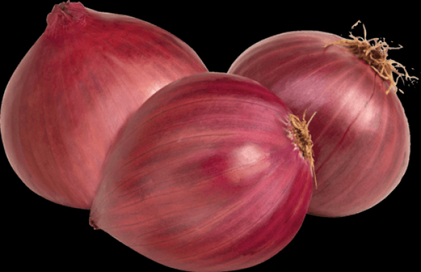 Cebola Roxa