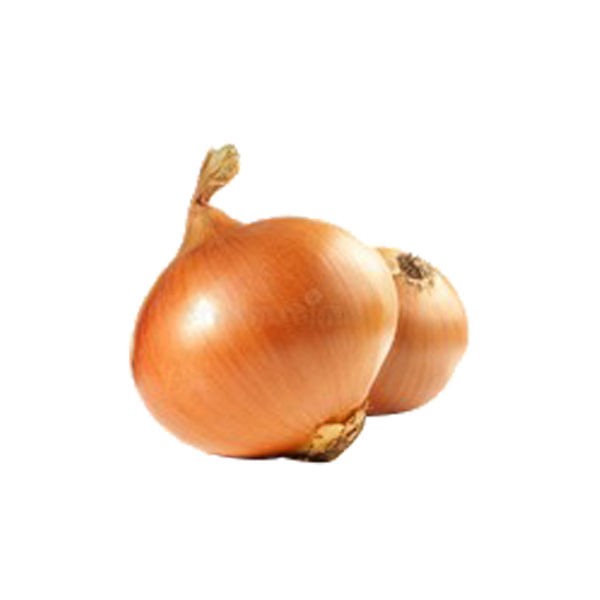 Encontraproduto.com.br - Cebola Colossal Kg