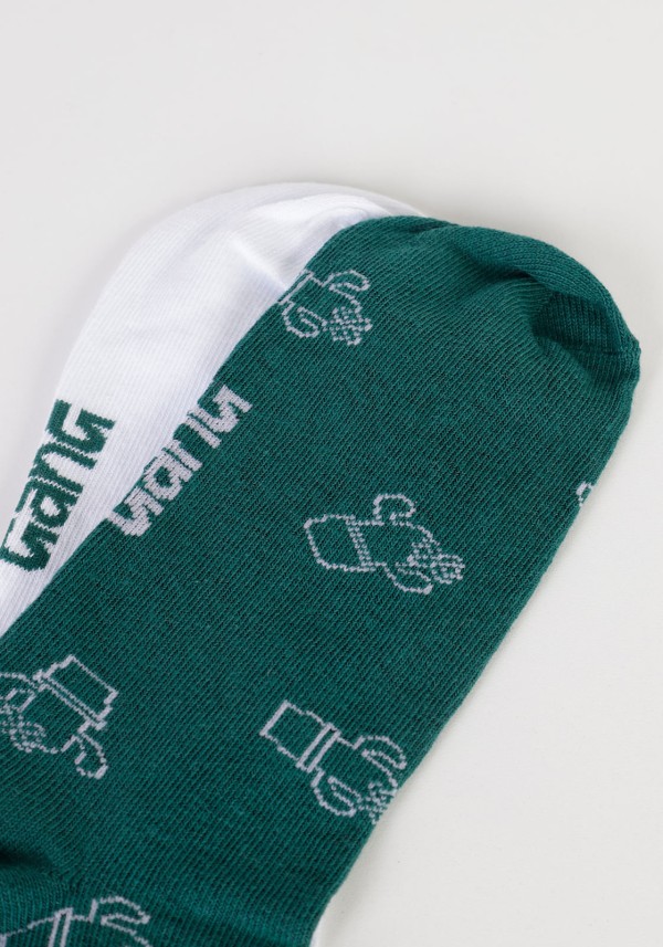 Encontraproduto.com.br - Kit meia sapatilha estampada cactus