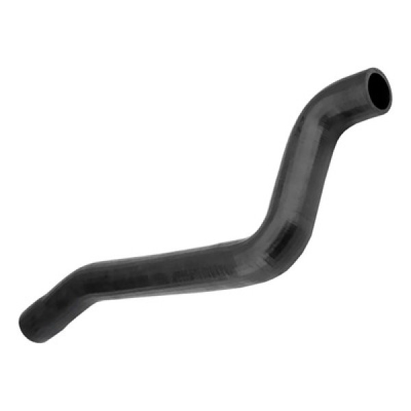 Encontraproduto.com.br - Beterraba