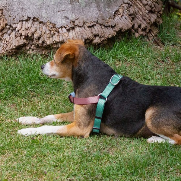 Encontraproduto.com.br - Peitoral Triple Step Verde e Rosa Tam. M Mimo - PP269X [Reembalado]
