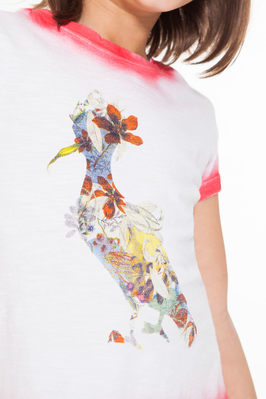 Encontraproduto.com.br - CAMISETA PICA PAU JARDIM