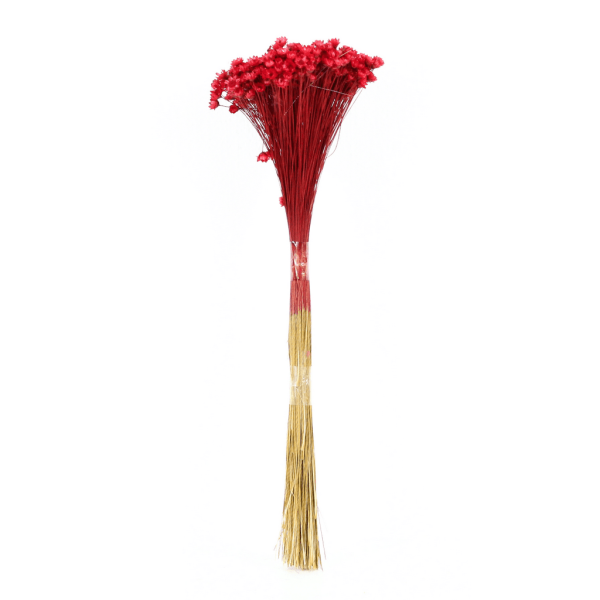 FLOR SEMPRE VIVA VERMELHO