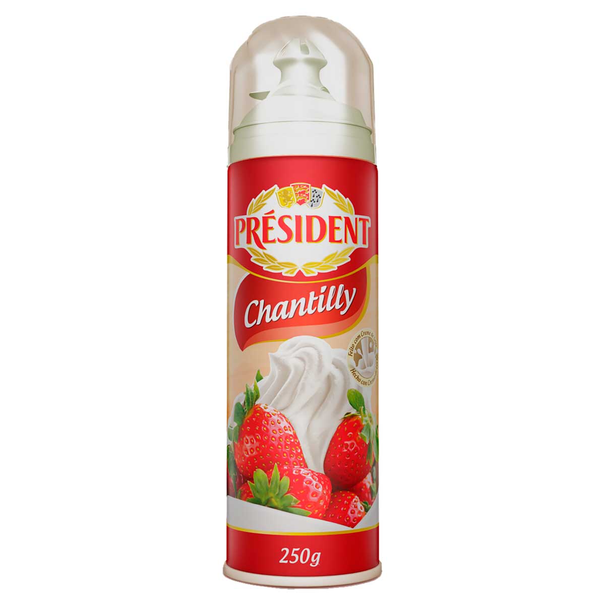 Encontraproduto.com.br - CREME CHANTILLY PRESIDENT 250G