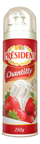 Encontraproduto.com.br - CREME CHANTILLY PRESIDENT 250G