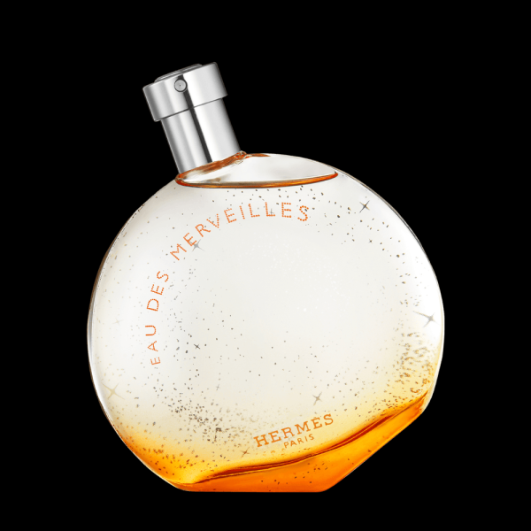 Encontraproduto.com.br - Perfume Hermes Eau Des Merveilles Feminino Eau de Toilette 100 ml