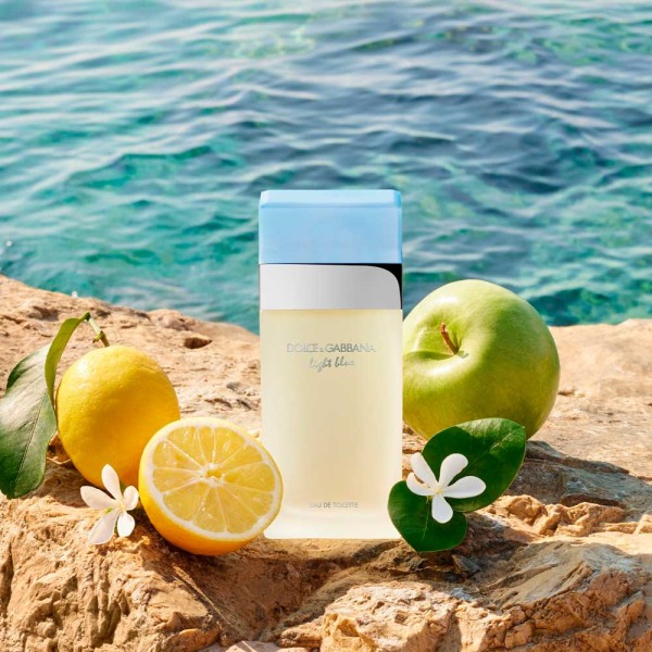 Perfume Dolce & Gabbana Light Blue Feminino Eau De Toilette 200 Ml
