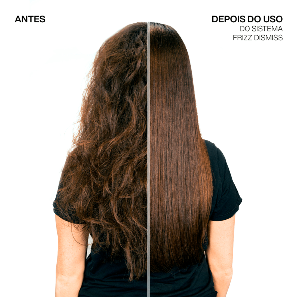 Encontraproduto.com.br - Redken Frizz Dismiss Rebel Tame - Leave-In - 250ml