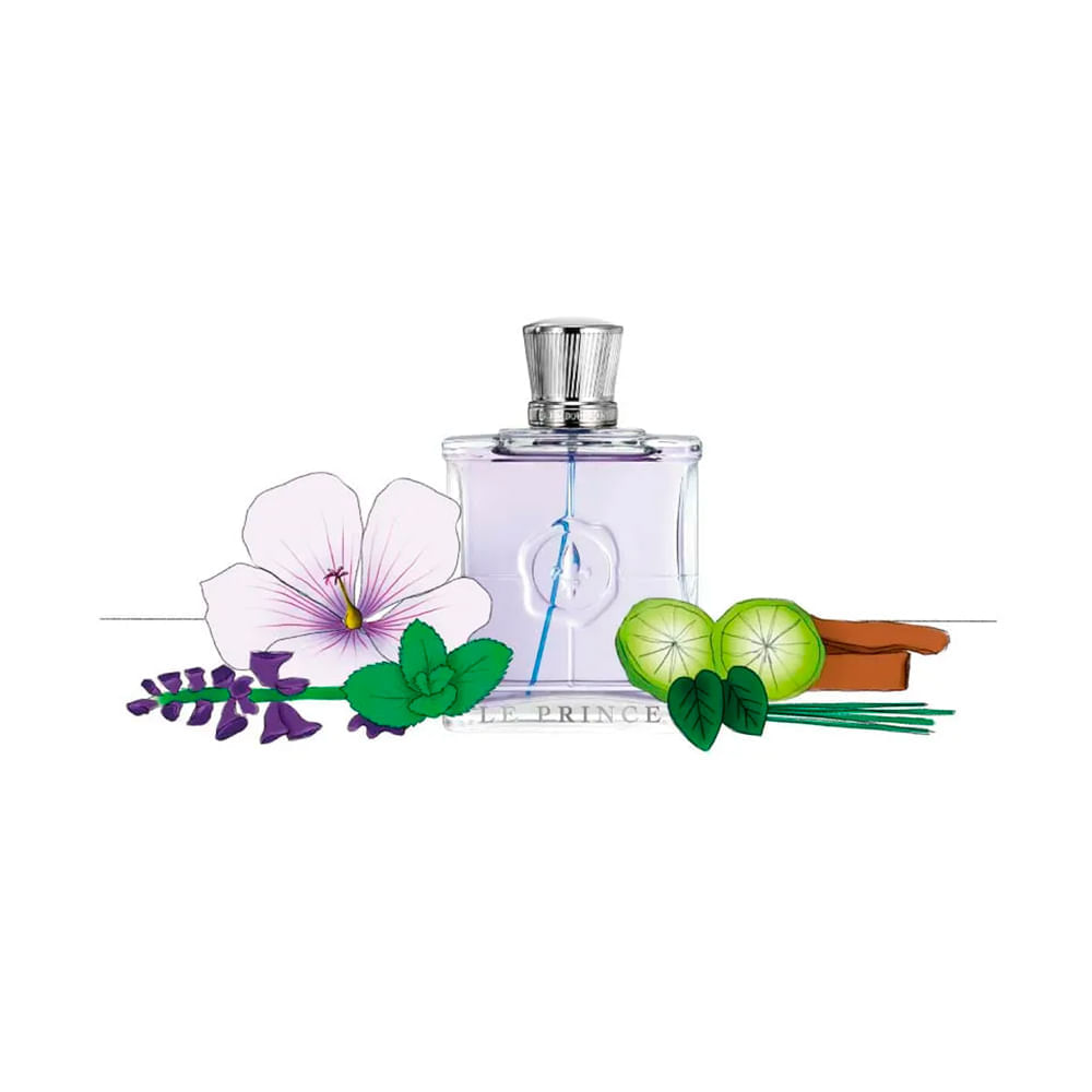 Encontraproduto.com.br - Marina De Bourbon Le Prince Elegant Man Eau de Parfum - Perfume Masculino 100ml