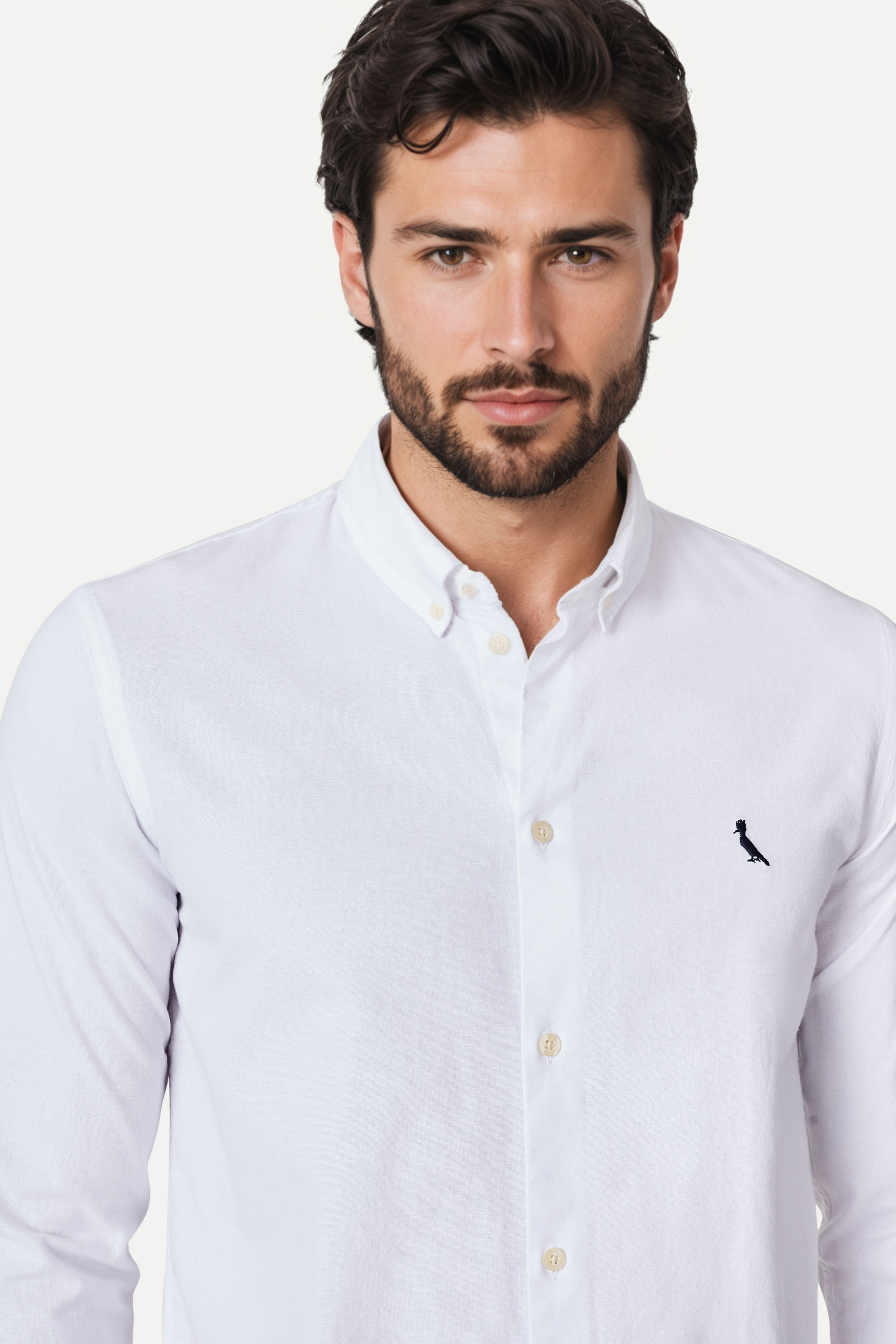 Encontraproduto.com.br - KIT 2 CAMISAS OXFORD SPORT