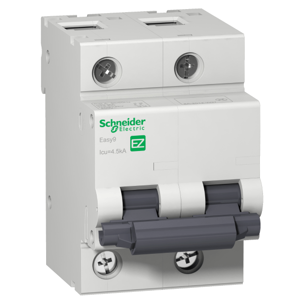 Disjuntor Easy9 2p 70a Curva C Schneider