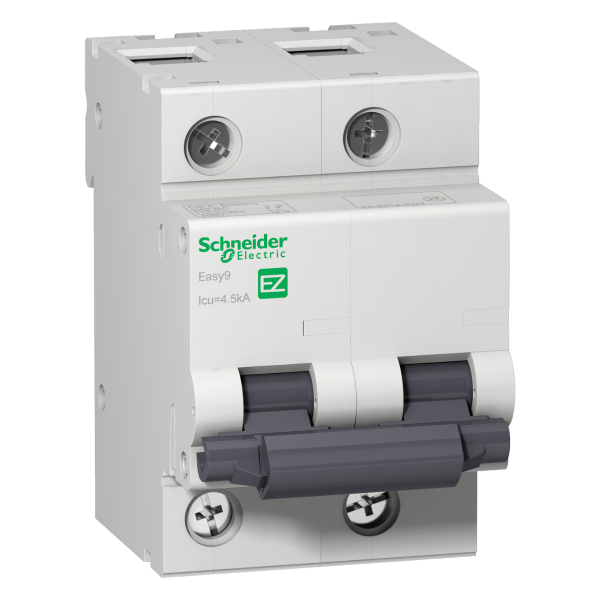 Encontraproduto.com.br - Disjuntor 2P 100A C 4,5Ka 230V Easy9 EZ9F33291 Schneider