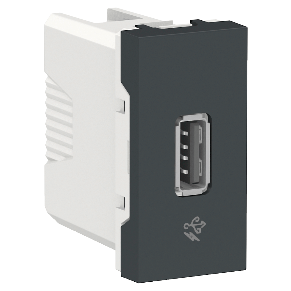 Encontraproduto.com.br - Módulo Carregador Usb S70547094 Grafite Orion Schneider