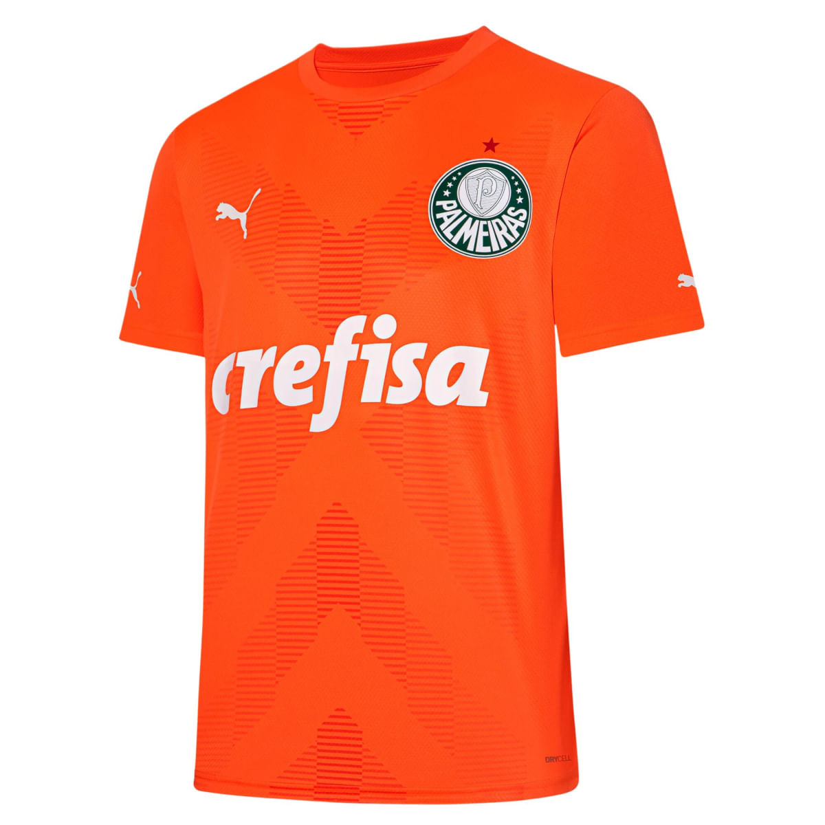 Camisa Puma Palmeiras Goleiro Iii 2023