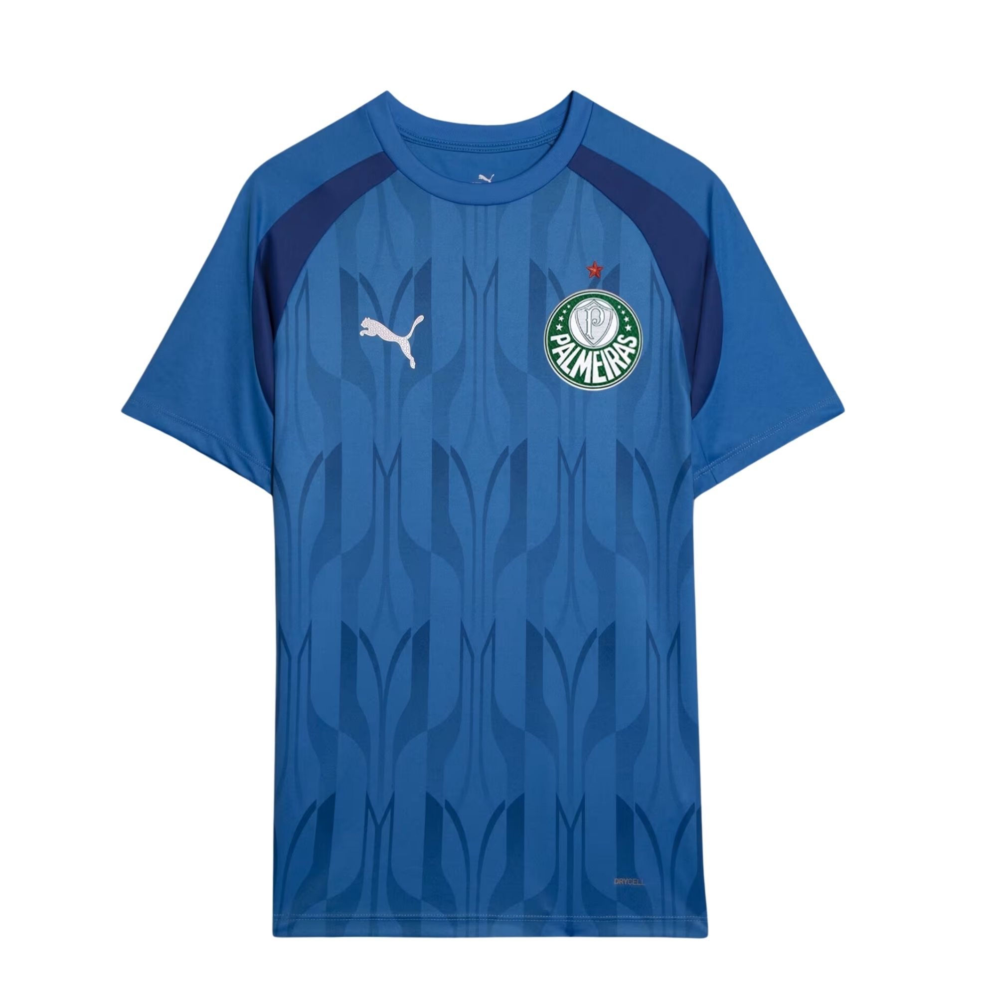 Camisa Palmeiras 2024 Puma Pré Jogo Sep Prematch 24 Masculina - Marinho