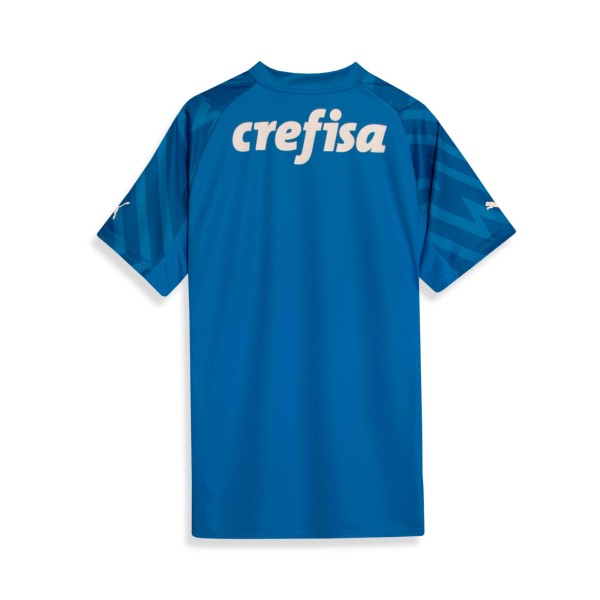 Encontraproduto.com.br - Camisa Palmeiras 2024 Puma  Goleiro Torcedor Home Masculina - Azul