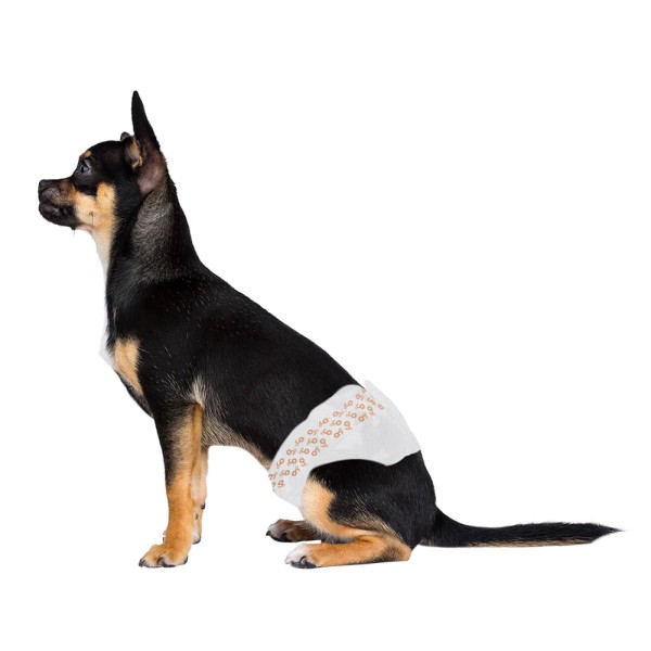 Encontraproduto.com.br - Fralda Higiênica Descartável Diaper Macho P 12pcs Branca Mimo - PP005OUT [Reembalado]