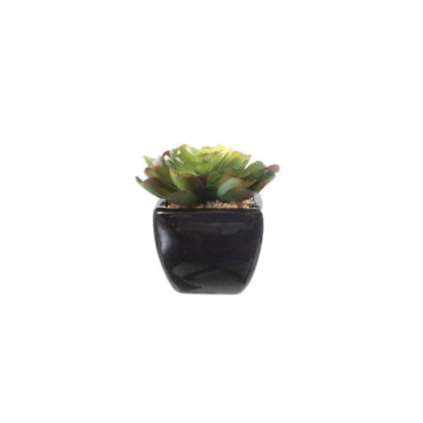 Encontraproduto.com.br - Planta Artificial Latcor CH16-90B-03
