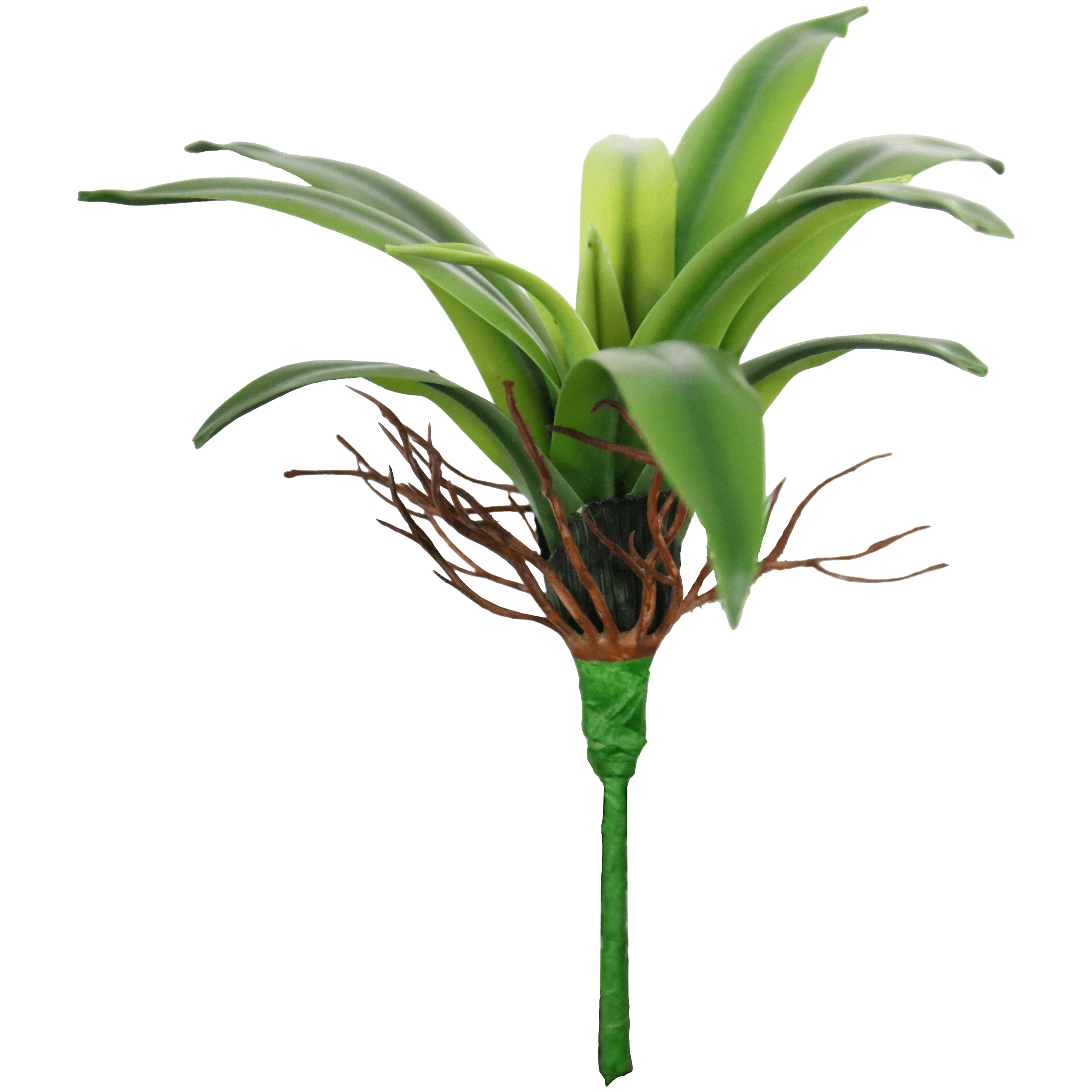 Encontraproduto.com.br - FOLHA DE ORQUIDEA 13 FOLHAS