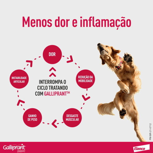 Encontraproduto.com.br - Galliprant Anti-Inflamatório 20mg Elanco