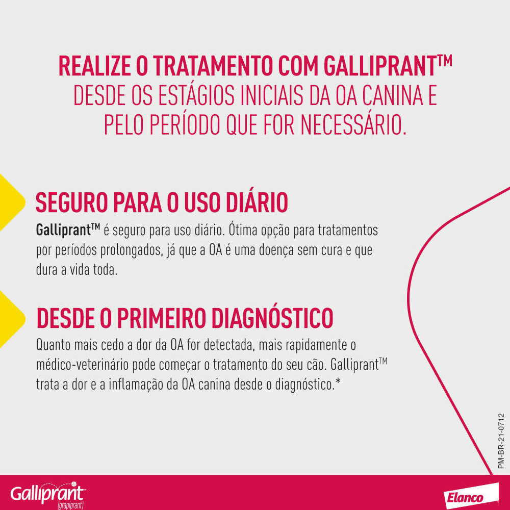 Encontraproduto.com.br - Galliprant 60mg Anti-inflamatório para Cachorro
