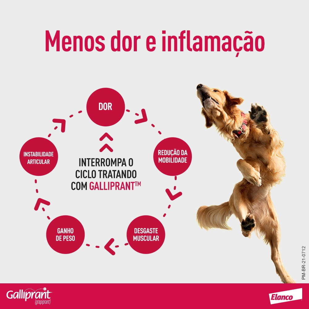 Encontraproduto.com.br - Galliprant 60mg Anti-inflamatório para Cachorro