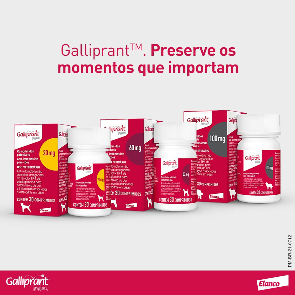 Encontraproduto.com.br - Galliprant 60mg Anti-inflamatório para Cachorro