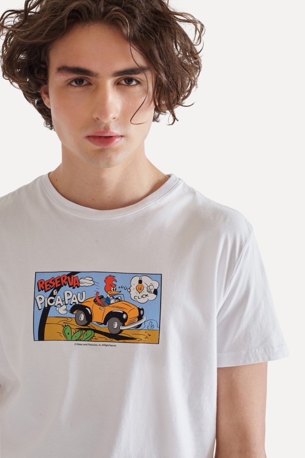 Encontraproduto.com.br - Camiseta Estampada Pica Pau Gibi