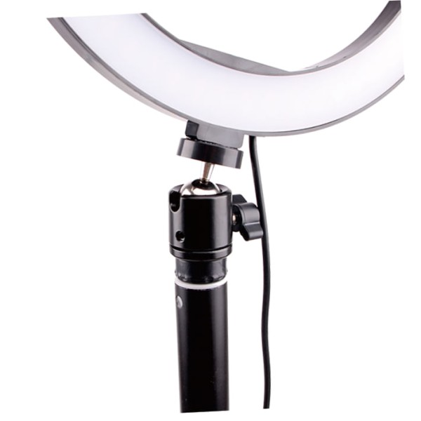 Encontraproduto.com.br - Kit Studio Ring Light Labravia