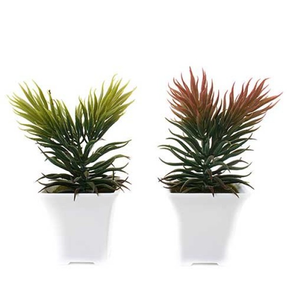 Conjunto Mini Plantas Artificiais 2 Peças Latcor, De Plástico - BX-ASST62