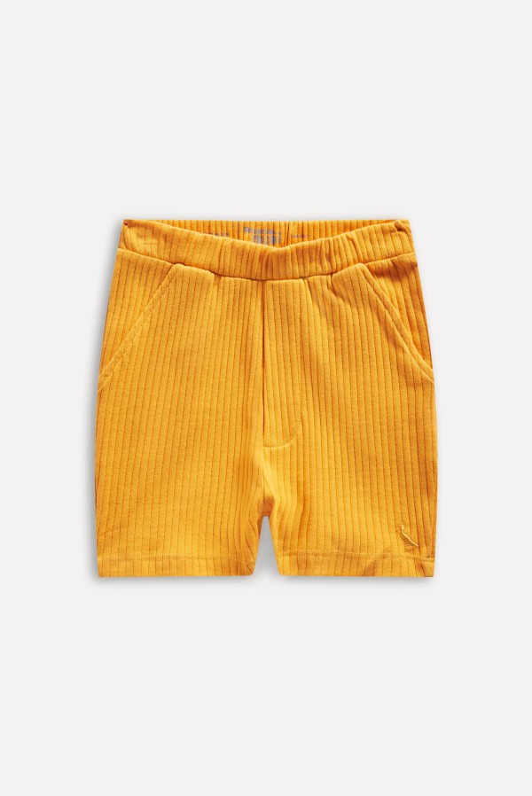 Bermuda Bb  Color