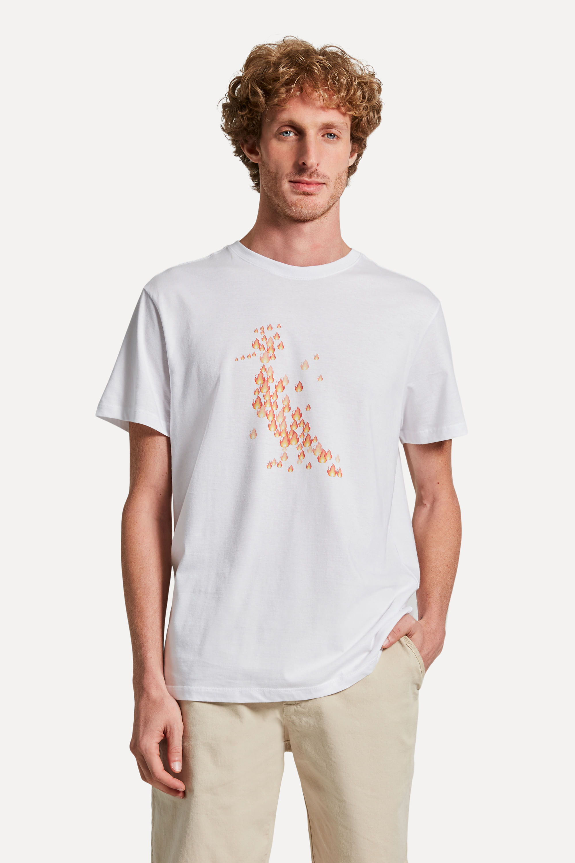 Encontraproduto.com.br - Camiseta Estampada Pica-pau Fogo