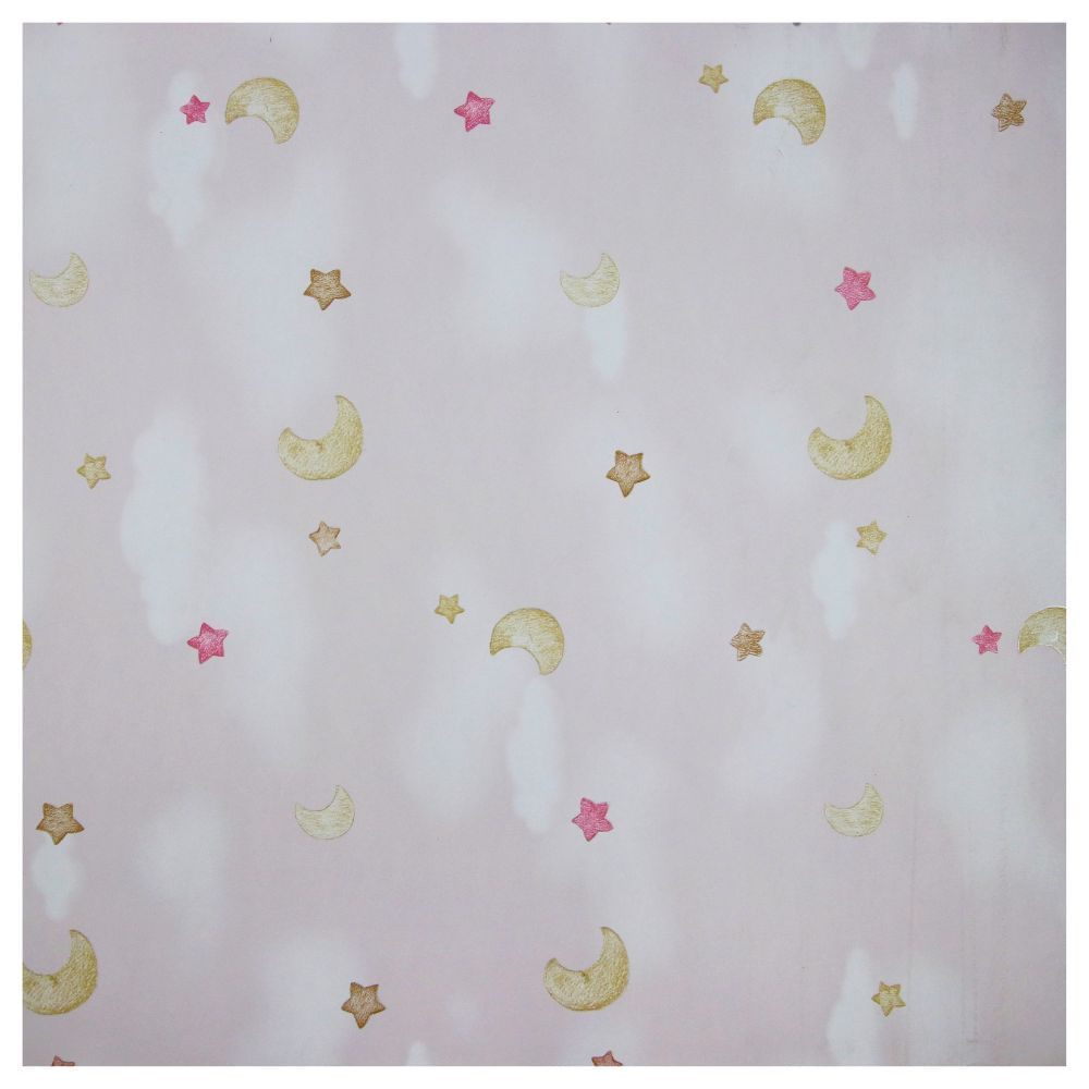 Papel De Parede Vinil Kids Estre Rosas 0.50x10mt Sugestões