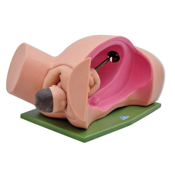 Encontraproduto.com.br - Simulador Médico Parto Clássico Sdorf