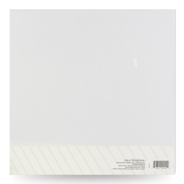 Encontraproduto.com.br - Bloco de Papel American Craft Branco com 20 Folhas 30,5x30,5cm - 320244