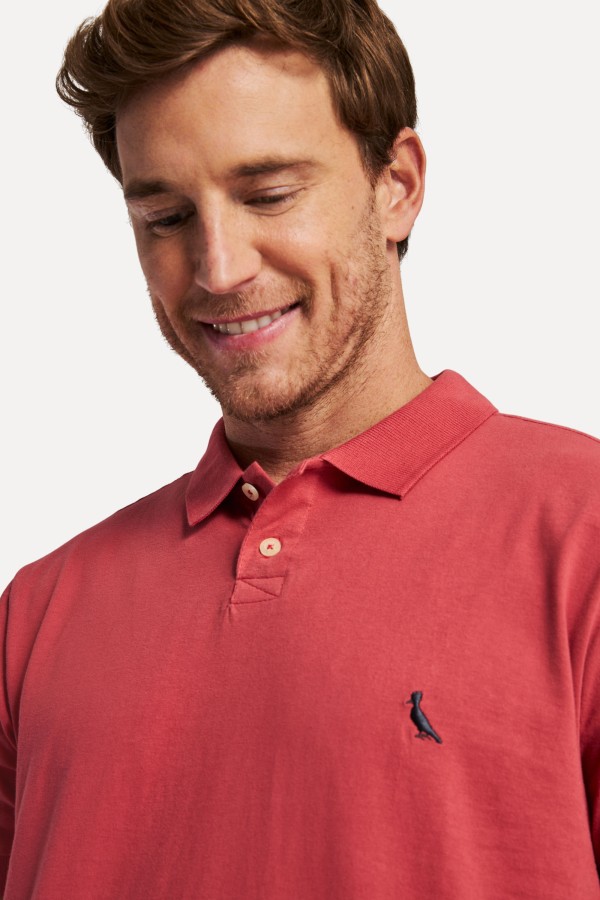 Encontraproduto.com.br - Polo Bordado Colors