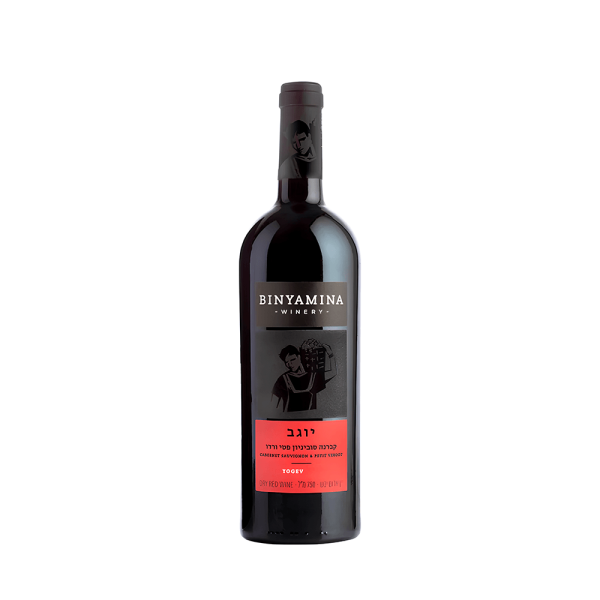 Encontraproduto.com.br - Vinho Binyamina Petit Verdot & Cabernet Sauvignon - 750ml